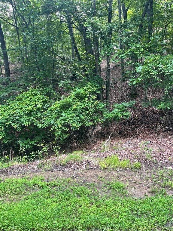 118 Morning Star Drive Property Photo 1