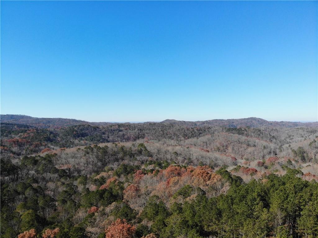 0 Big Ridge Rd Property Photo 9