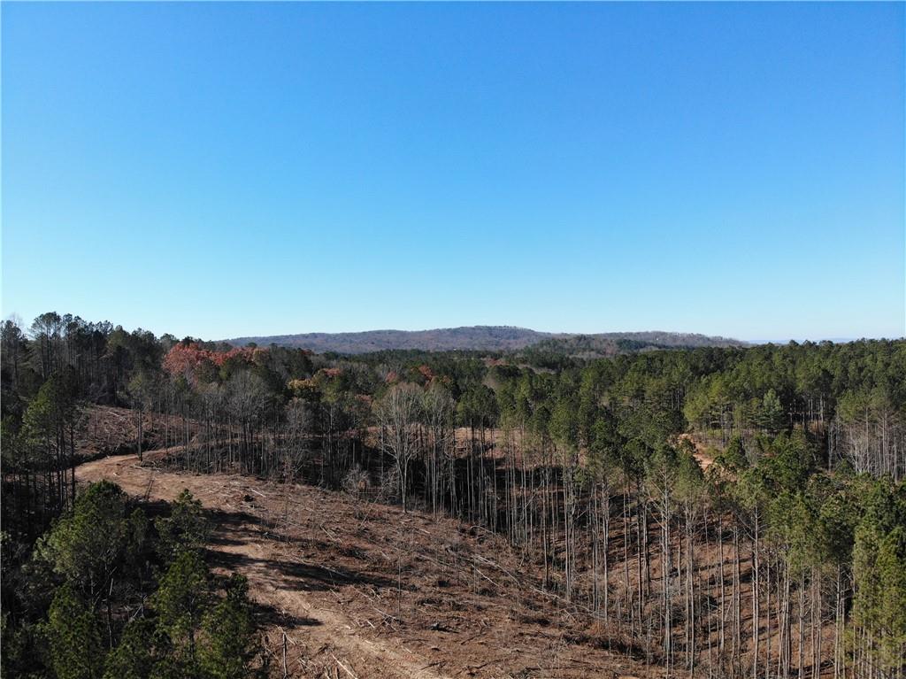 0 Big Ridge Rd Property Photo 10