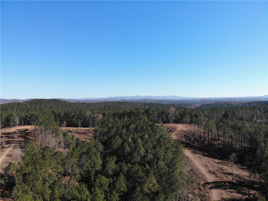 0 Big Ridge Rd Property Photo 11