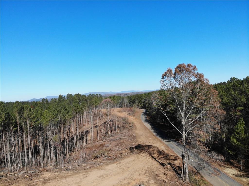 0 Big Ridge Rd Property Photo 12