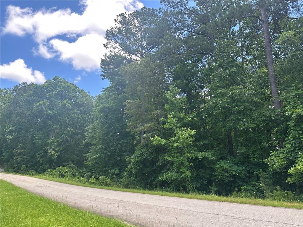 0 Elsberry Mountain Road Property Photo 1