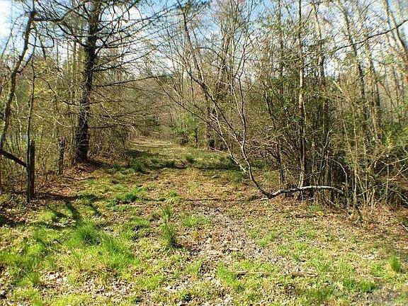 0 Doublehead Gap Road Property Photo 1