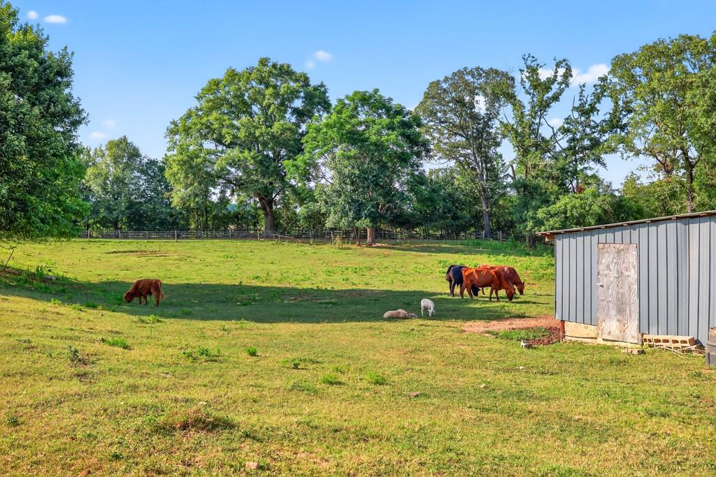 1724 Cedar Grove Church Road Property Photo 36