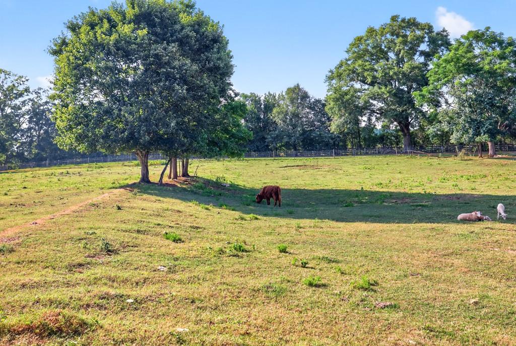 1724 Cedar Grove Church Road Property Photo 37