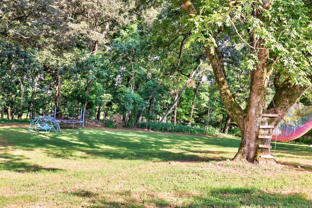 1724 Cedar Grove Church Road Property Photo 42