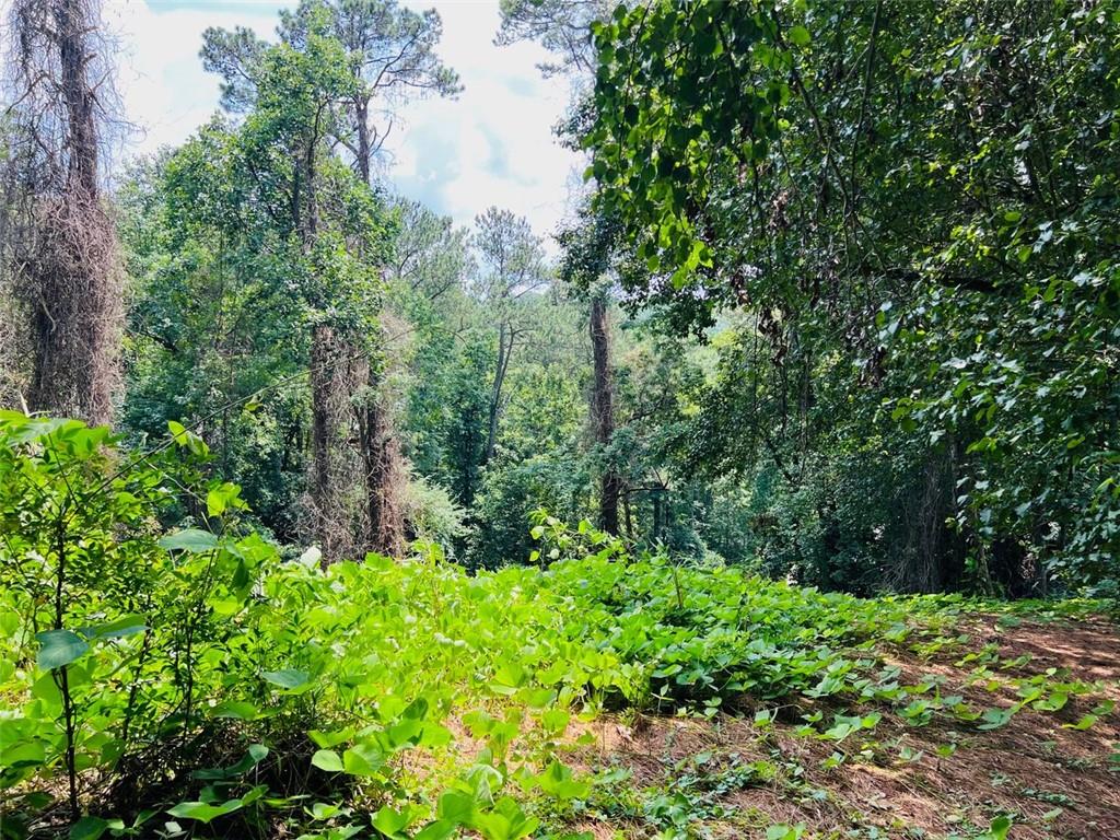 Lot 6 N Riverside Circle Property Photo 1