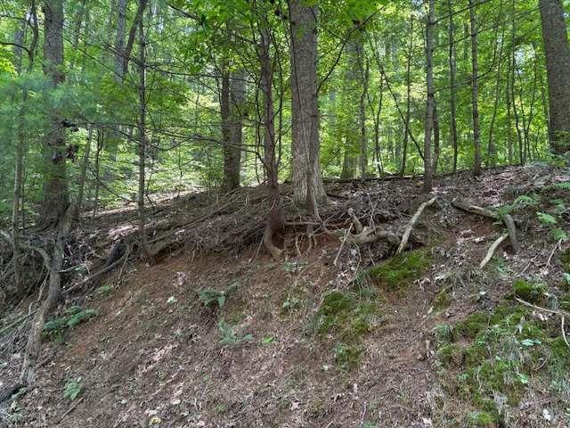 0 Mountain View Court Property Photo 1