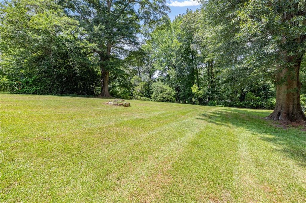 322 Scott Street Property Photo 14