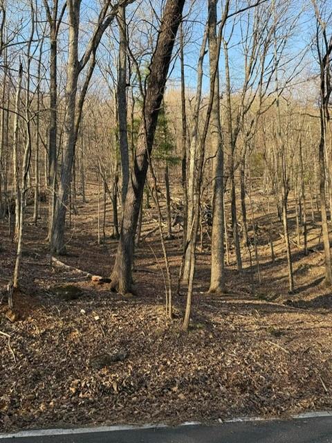 210 Windflower Drive Property Photo 1