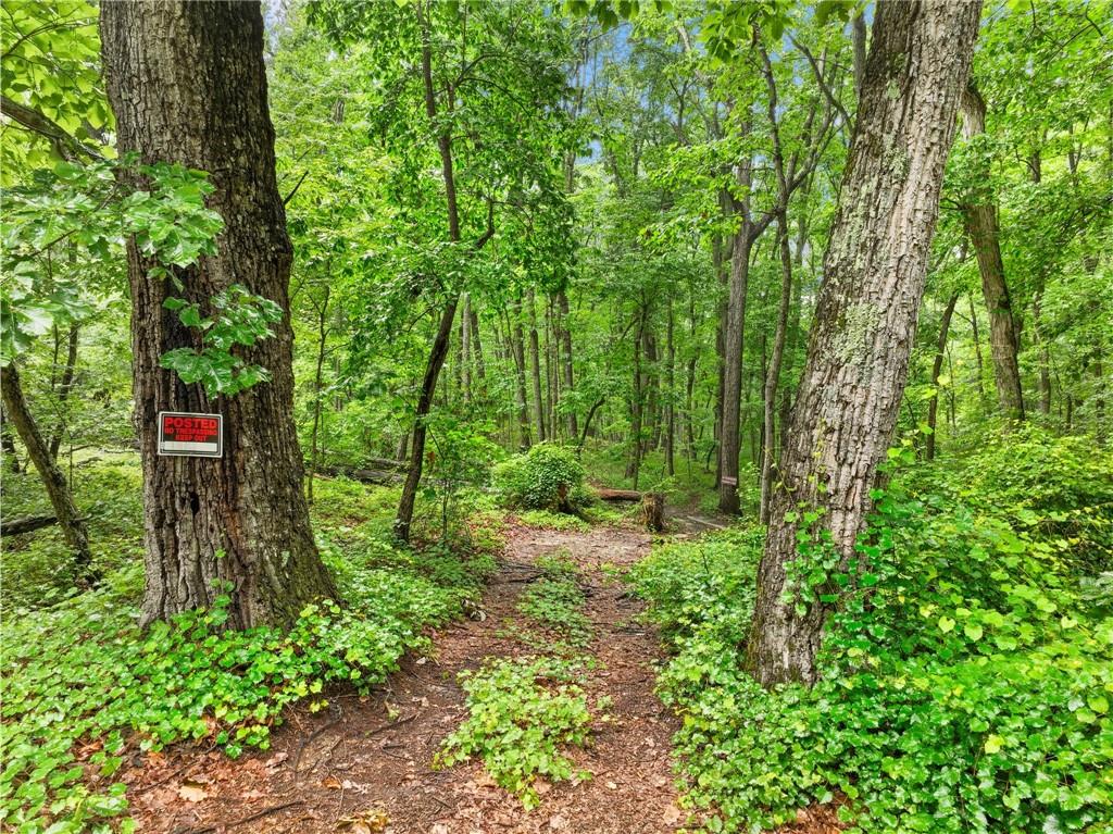 3 Cooper Bridge Road Property Photo 6