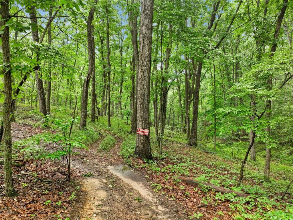 3 Cooper Bridge Road Property Photo 7