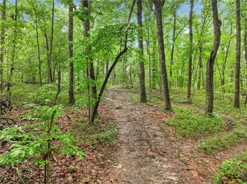 3 Cooper Bridge Road Property Photo 8