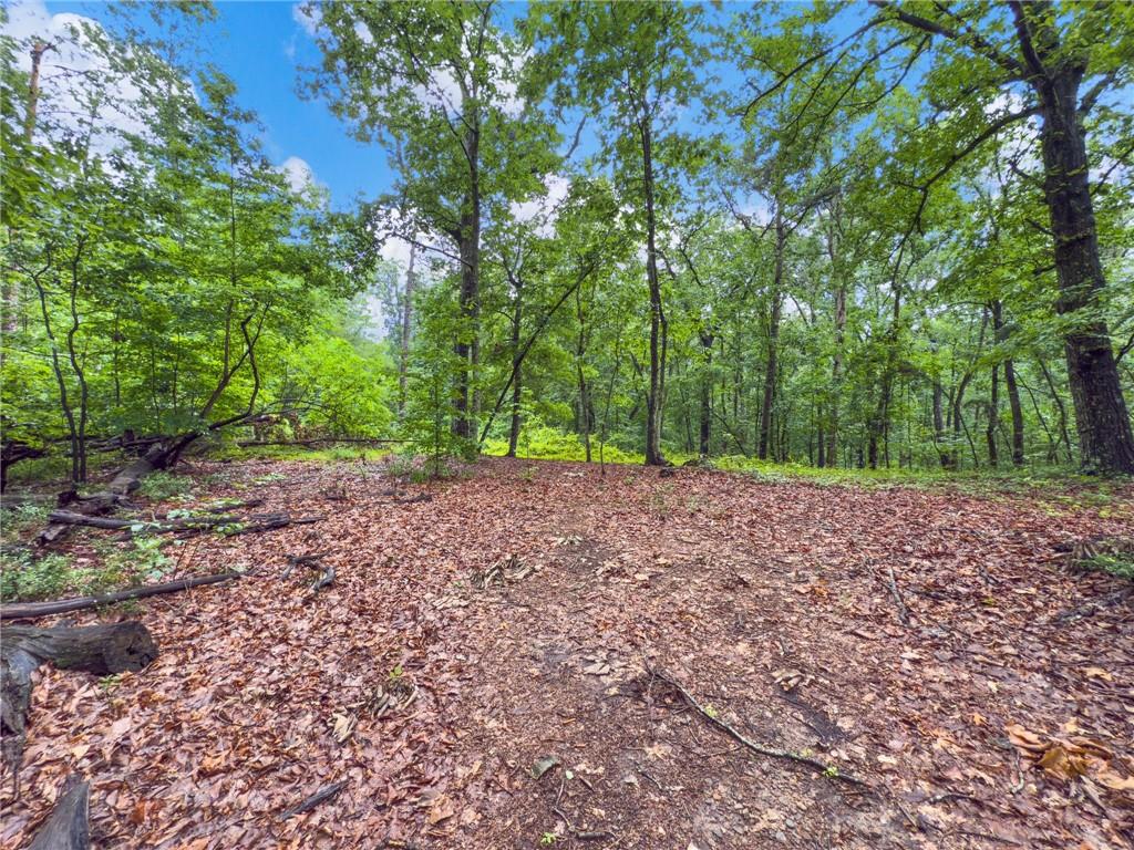 3 Cooper Bridge Road Property Photo 9