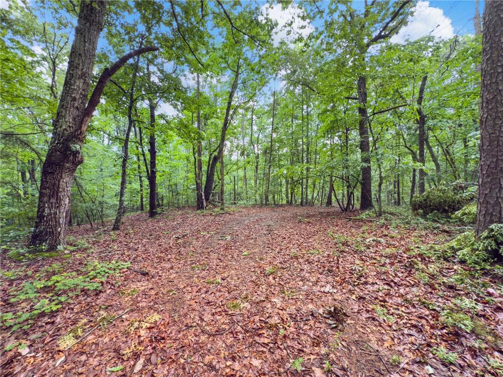 3 Cooper Bridge Road Property Photo 10