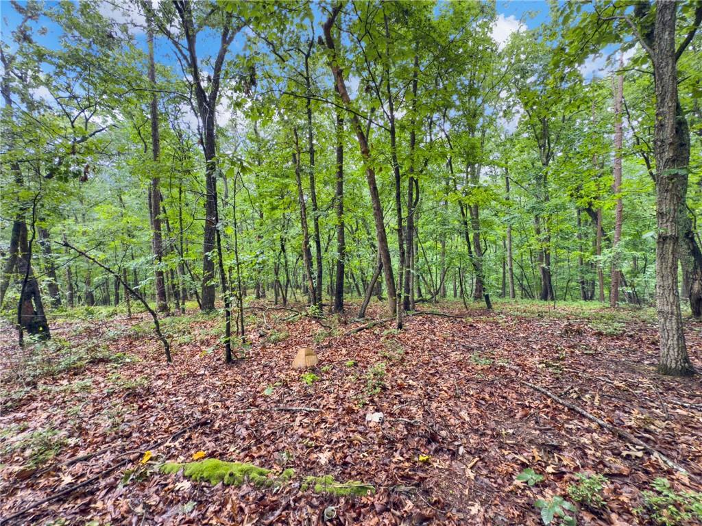 3 Cooper Bridge Road Property Photo 11