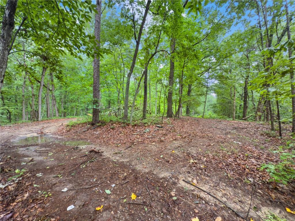 3 Cooper Bridge Road Property Photo 12