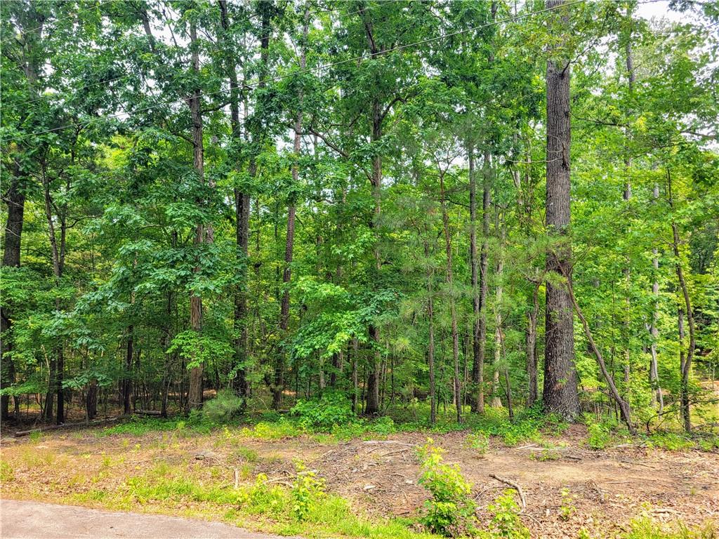 3234 Greenhill Drive Property Photo 1