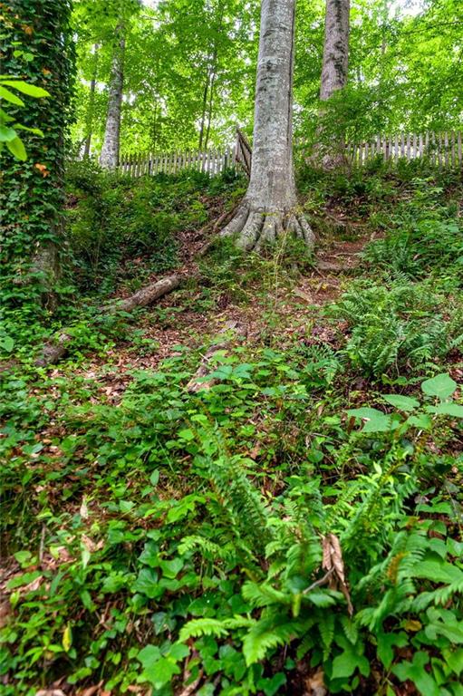 4957 Day Lily Way Property Photo 65