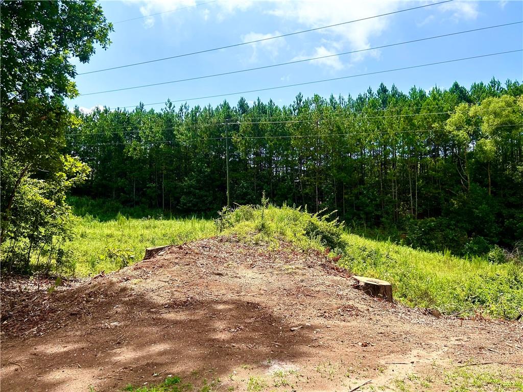 1137 Yellow River Drive Property Photo 30