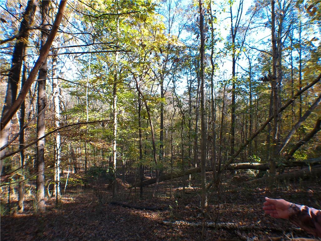 0 Dusty Road Property Photo 3