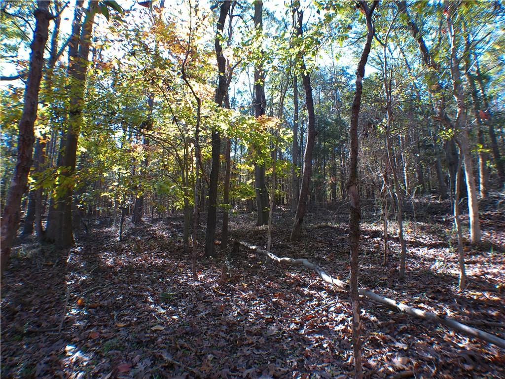 0 Dusty Road Property Photo 4
