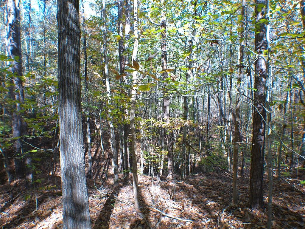 0 Dusty Road Property Photo 7
