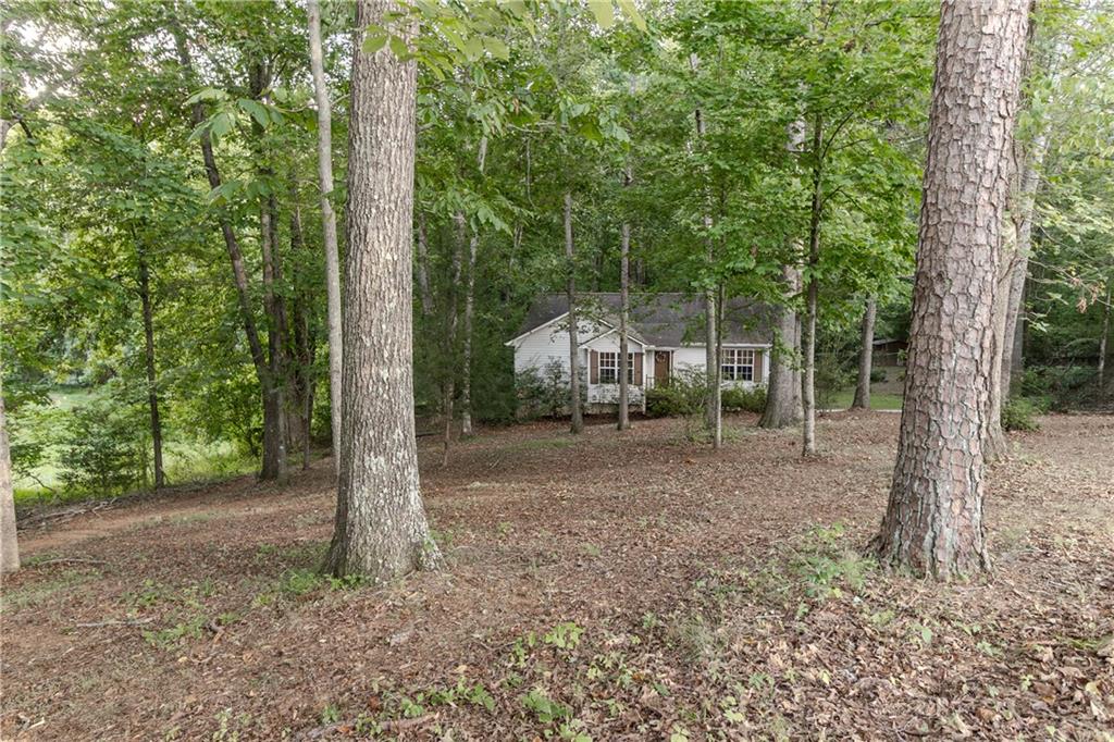 641 Horton Road Property Photo 5