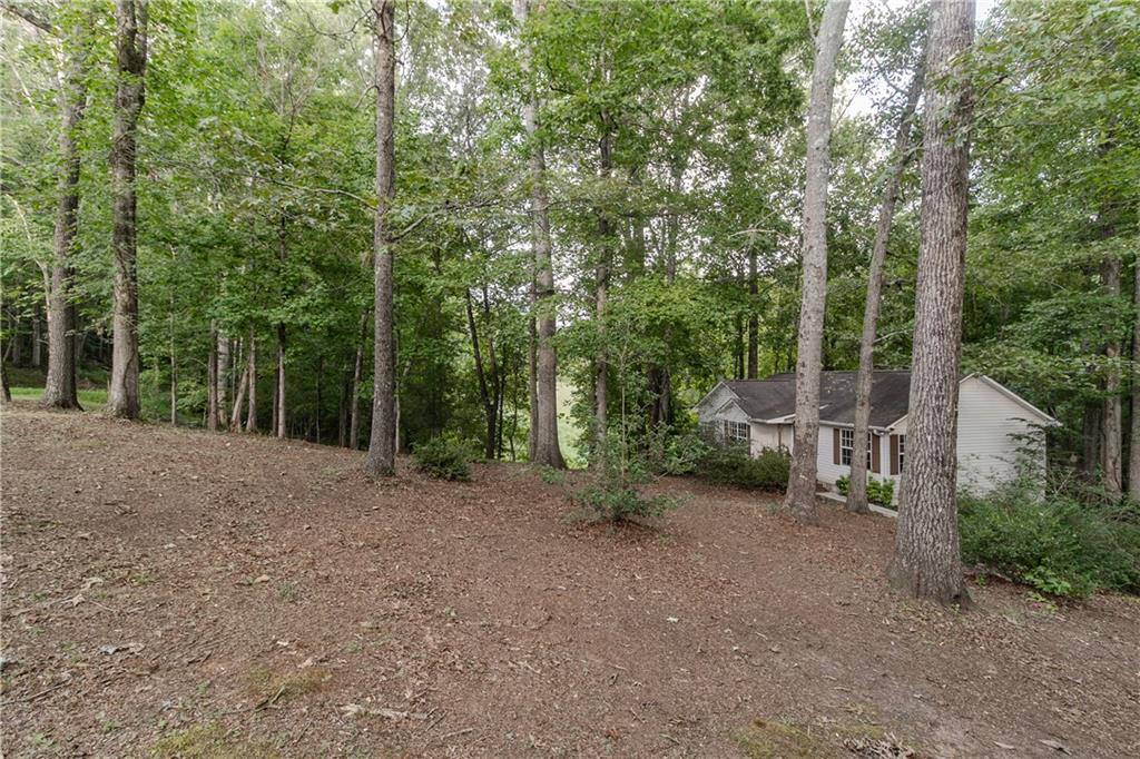 641 Horton Road Property Photo 6