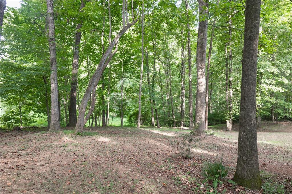 641 Horton Road Property Photo 8