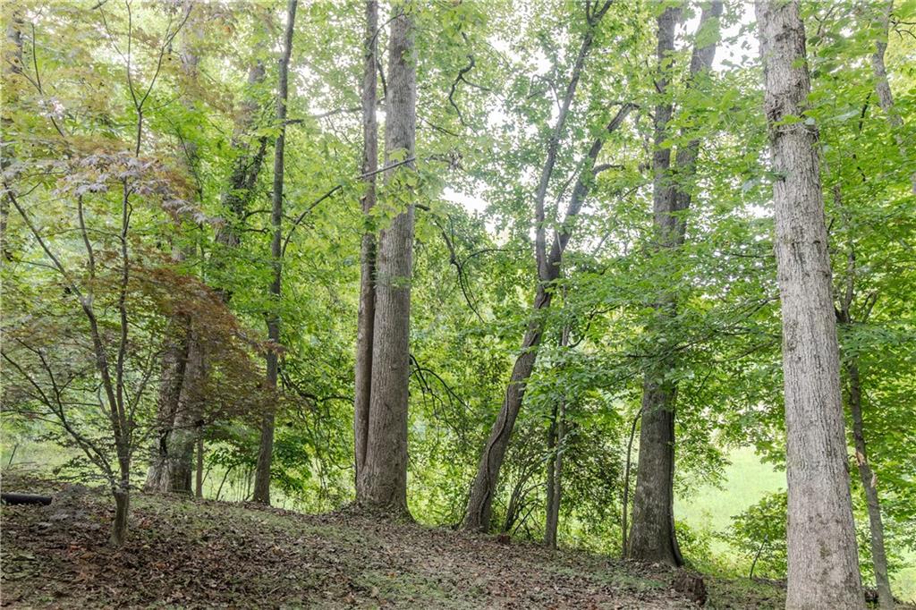 641 Horton Road Property Photo 20