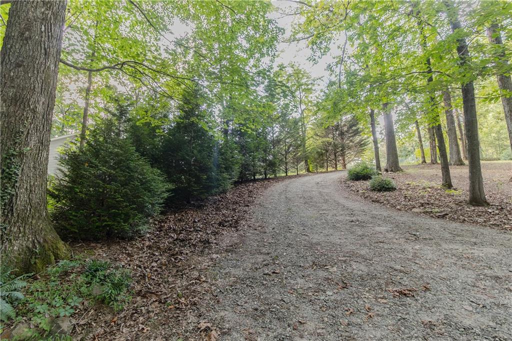 641 Horton Road Property Photo 21