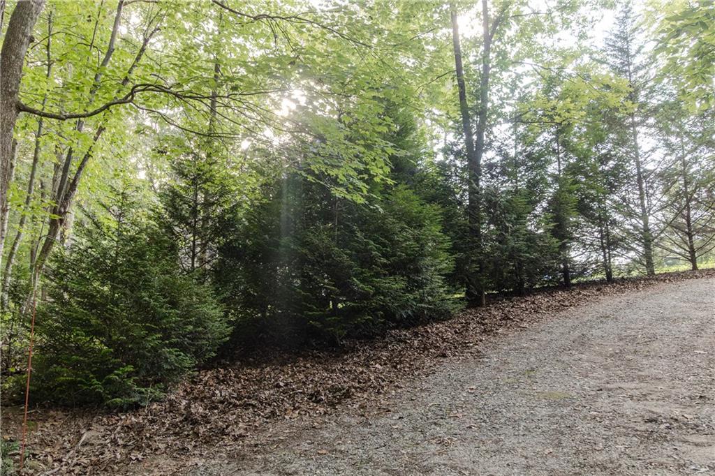 641 Horton Road Property Photo 22