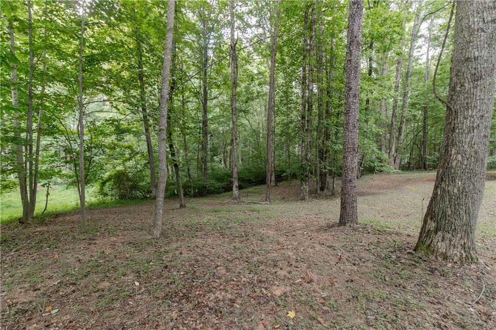 641 Horton Road Property Photo 25