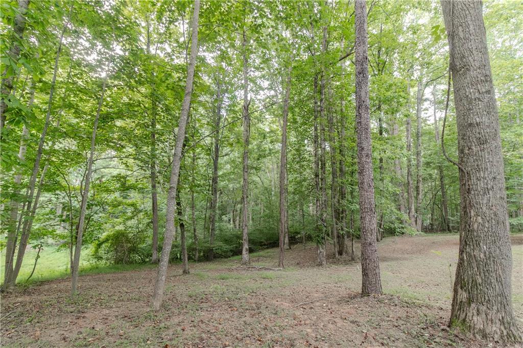 641 Horton Road Property Photo 57