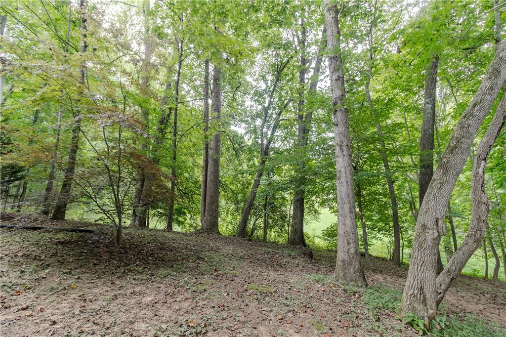 641 Horton Road Property Photo 58