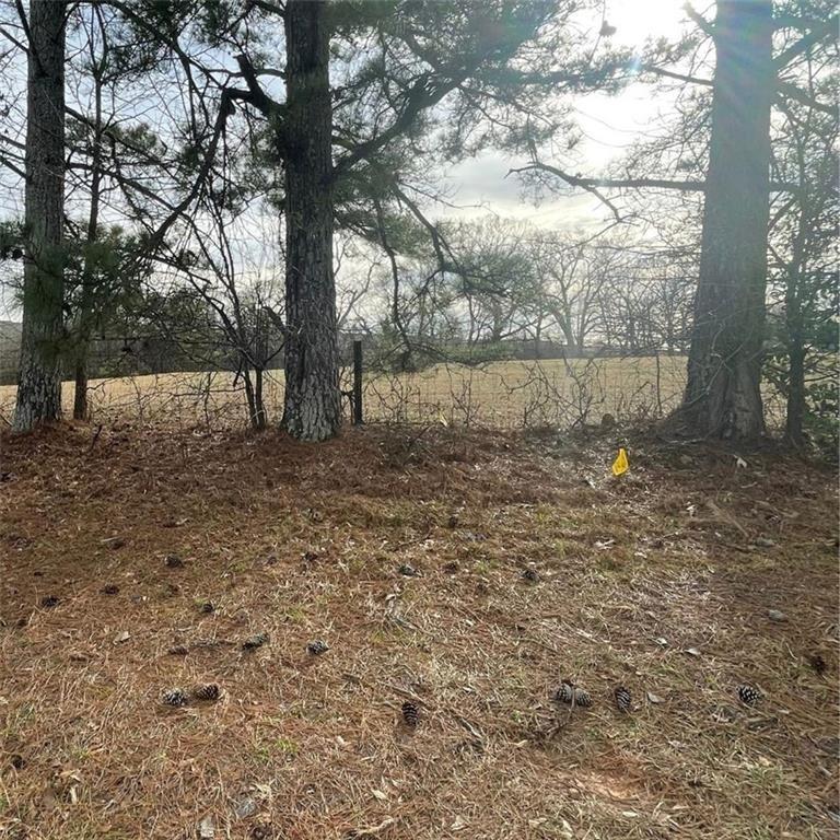 0 Hwy 29 Sou Property Photo 1