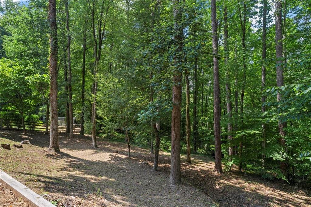 1307 Independence Way Property Photo 49