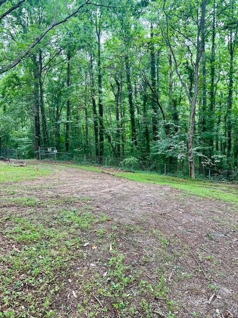 660 Hickory + 3 Contiguous Lot Parcels Trail Se Property Photo 11