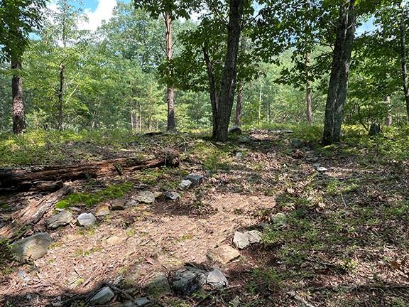 280 Vistaview Parkway Property Photo 6