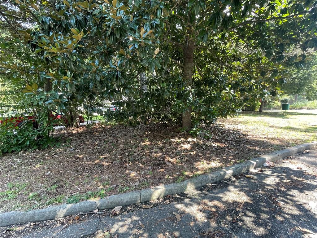 0 Ballye Shannon Pike Street Property Photo 1