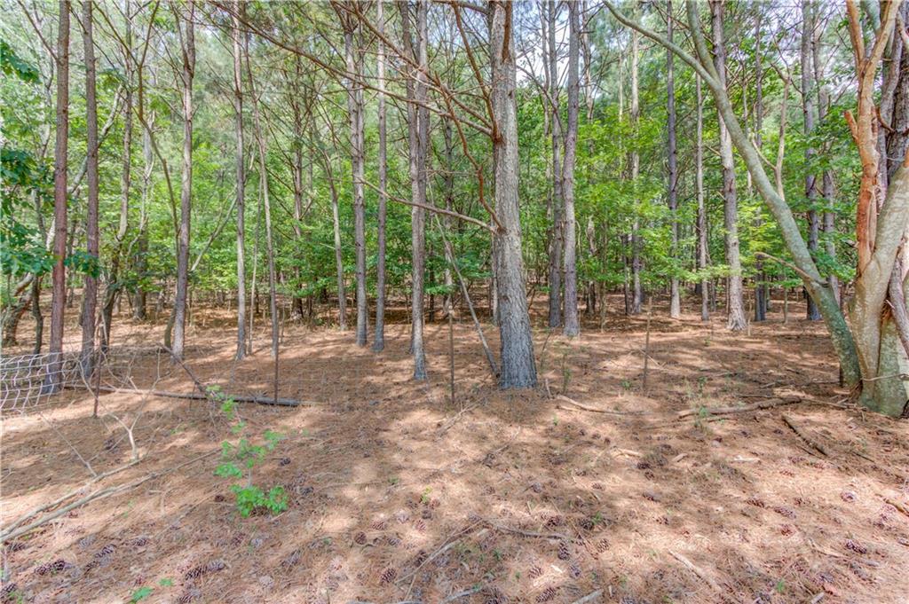 6700 Shady Grove Road Property Photo 49
