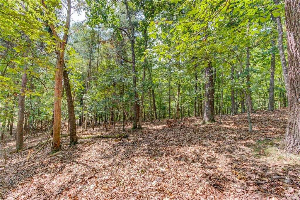 6700 Shady Grove Road Property Photo 60