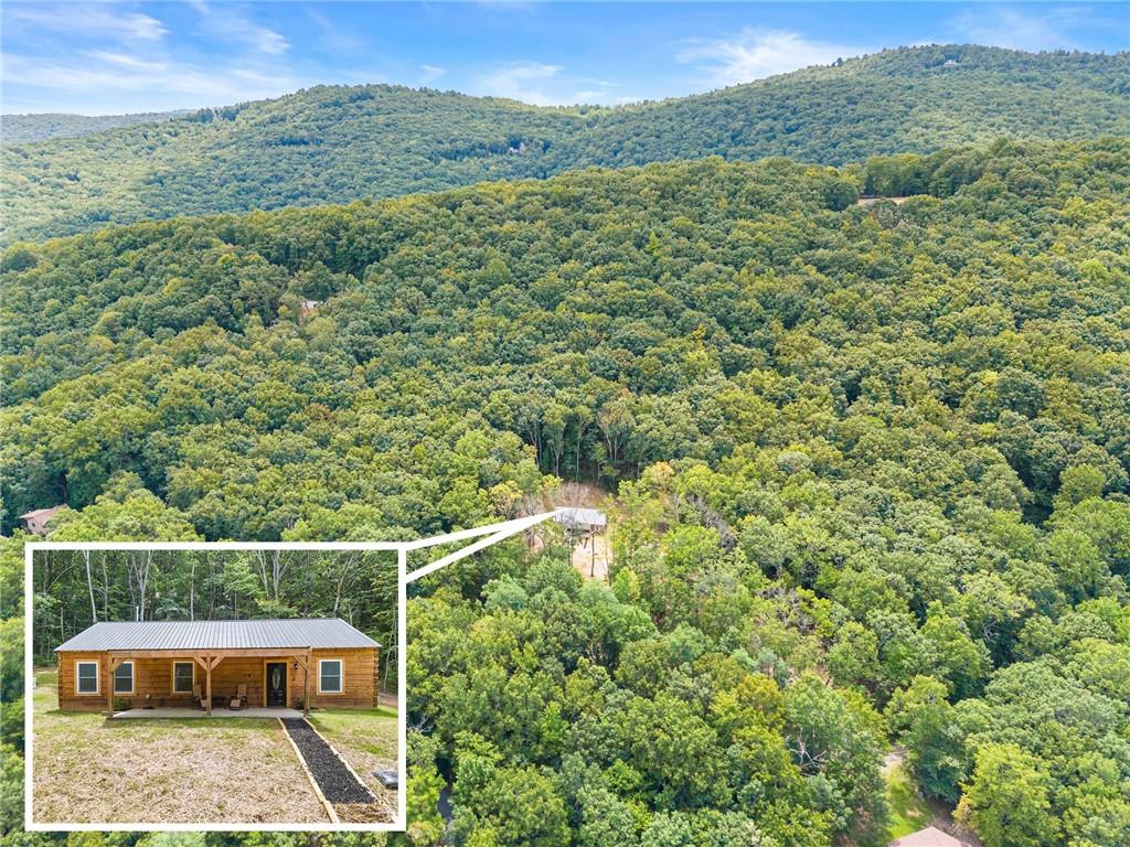 587 Cold Stream Trail Property Photo 1