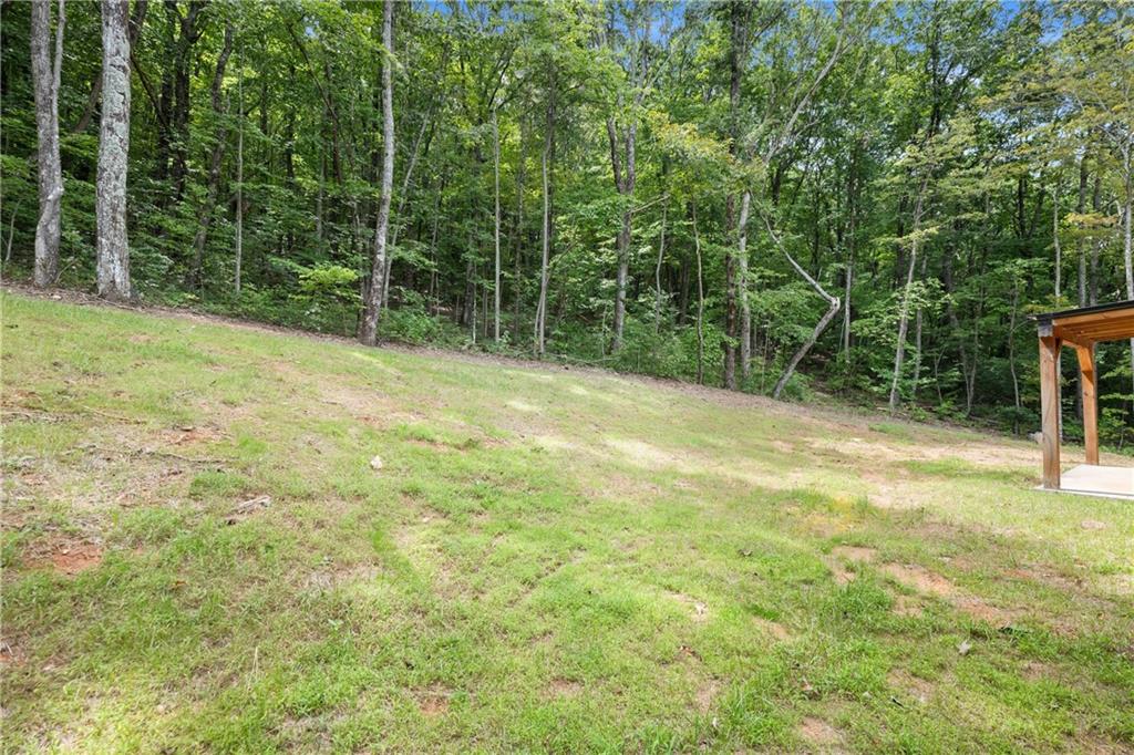 587 Cold Stream Trail Property Photo 26