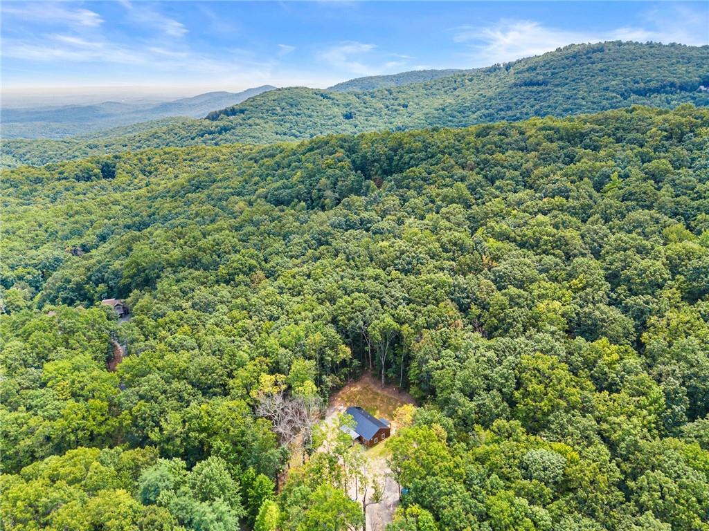 587 Cold Stream Trail Property Photo 38