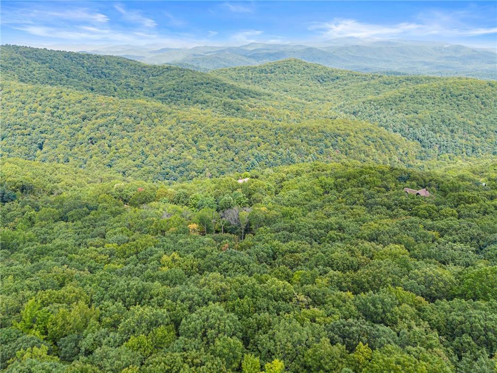 587 Cold Stream Trail Property Photo 39
