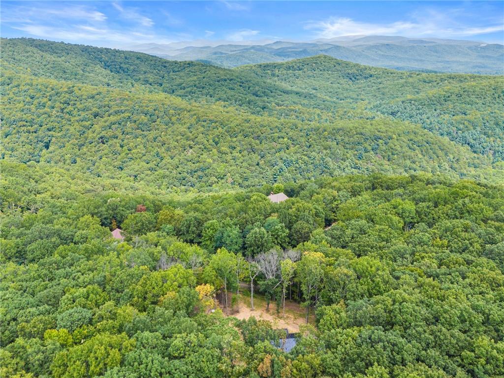 587 Cold Stream Trail Property Photo 40