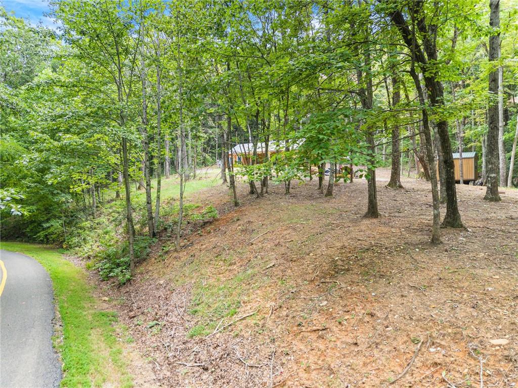 587 Cold Stream Trail Property Photo 41