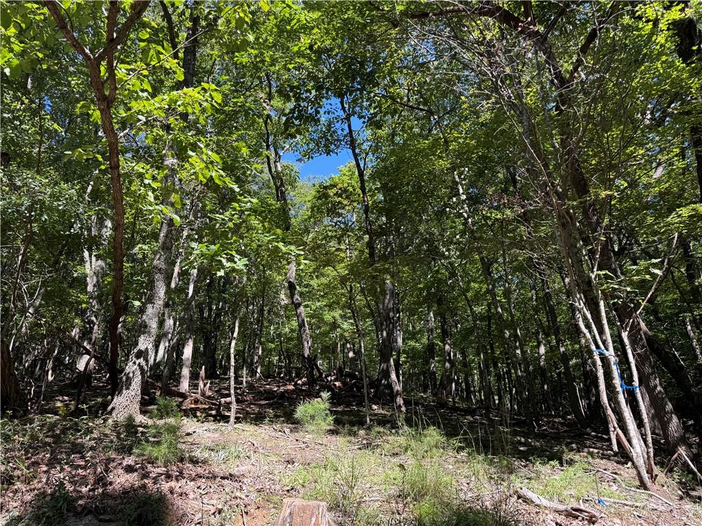 0 Moss Patch Trail Property Photo 2